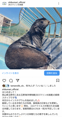 渋川マリン水族館公式インスタグラム