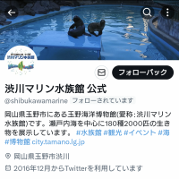 渋川マリン水族館公式エックス