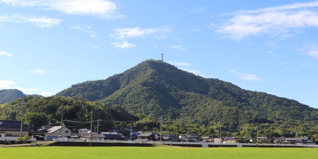 たまのの山