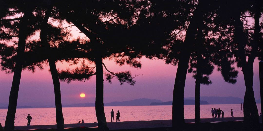 黄昏時の渋川海岸の写真