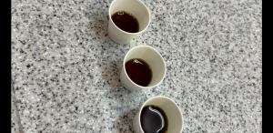 試飲用コーヒー