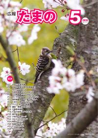 平成２２年５月号の画像