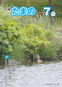 平成２３年７月号の画像