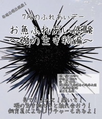7月ふれあいイベント