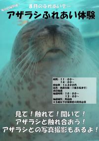 アザラシふれあい体験ポスター