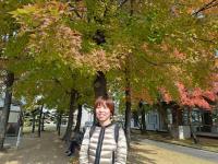 ようこさん写真