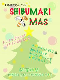 ＳＨＩＢＵＭＡＲＩＸＭＡＳ２０２５