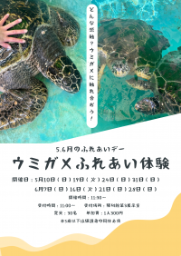 ウミガメふれあい体験